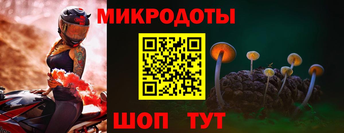 Дубна  Псилоцибиновые грибы прущие грибы  Псилоцибиновые грибы прущие грибы  Вход с VPN 