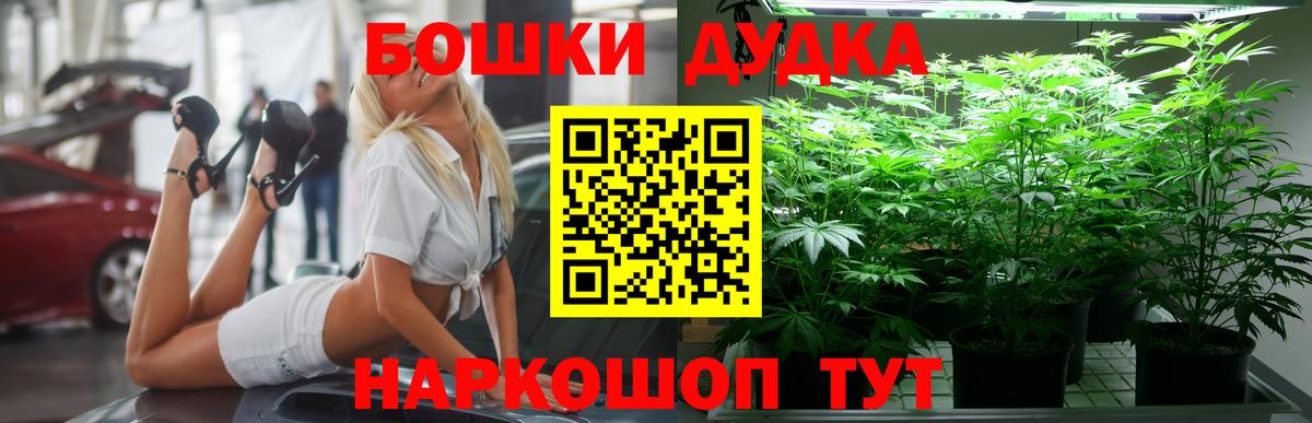 COCAIN Дубна